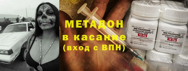 индика Абаза