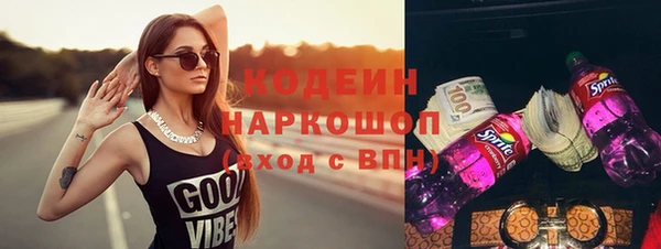 индика Абаза