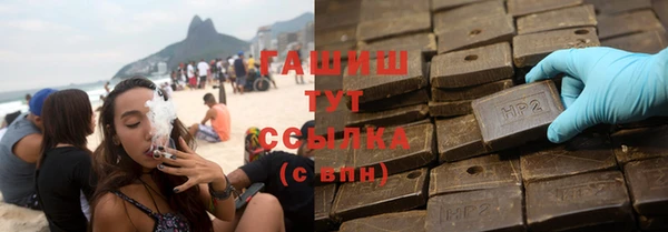 индика Абаза