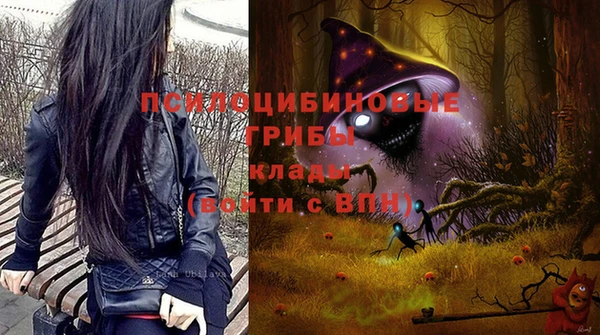 соль ск Абдулино