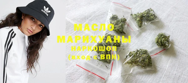 индика Абаза
