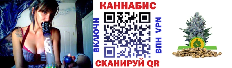 Каннабис план  Павловский Посад 